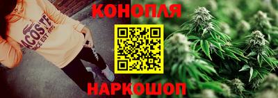 шишки Кандалакша