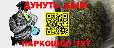 шишки Кандалакша