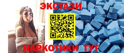 шишки Кандалакша
