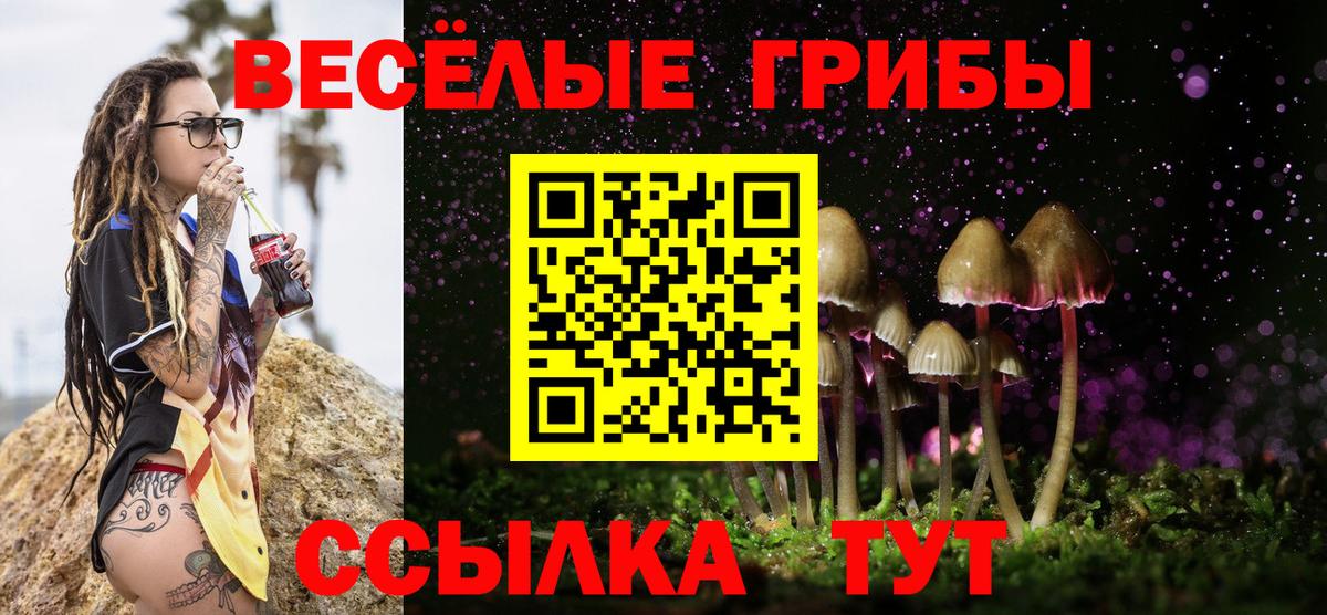 Лесосибирск  Галлюциногенные грибы ЛСД  Вход с VPN  Псилоцибиновые грибы GOLDEN TEACHER 