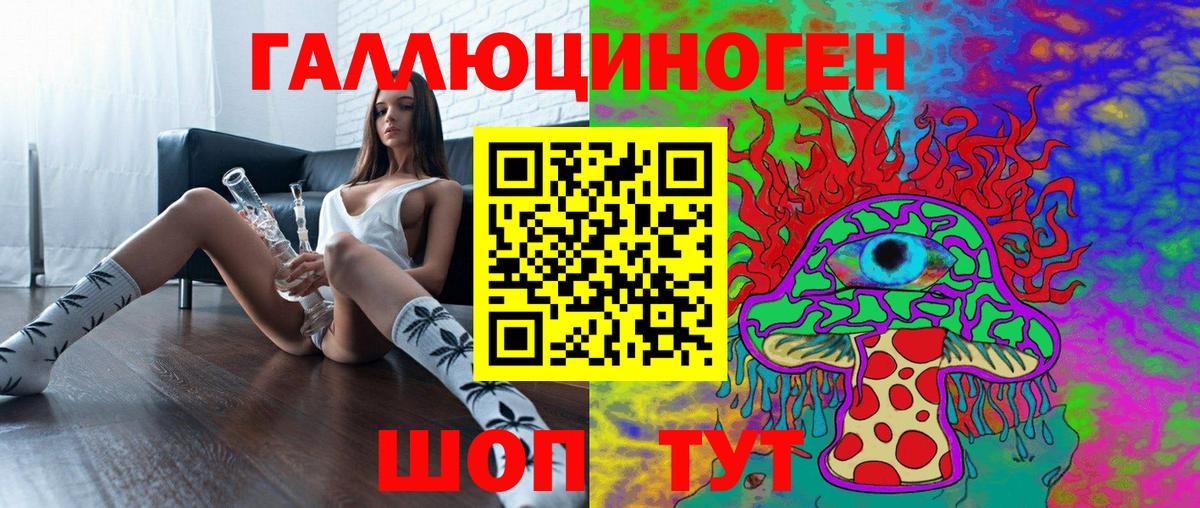 Псилоцибиновые грибы Psilocybine cubensis Лесосибирск